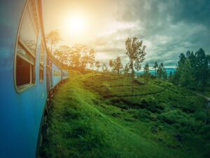 cosa-vedere-in-sri-lanka